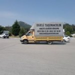 EGELİ ŞEHİR İÇİ ŞEHİRLER ARASI ASANSÖRLÜ TAŞIMACILIK